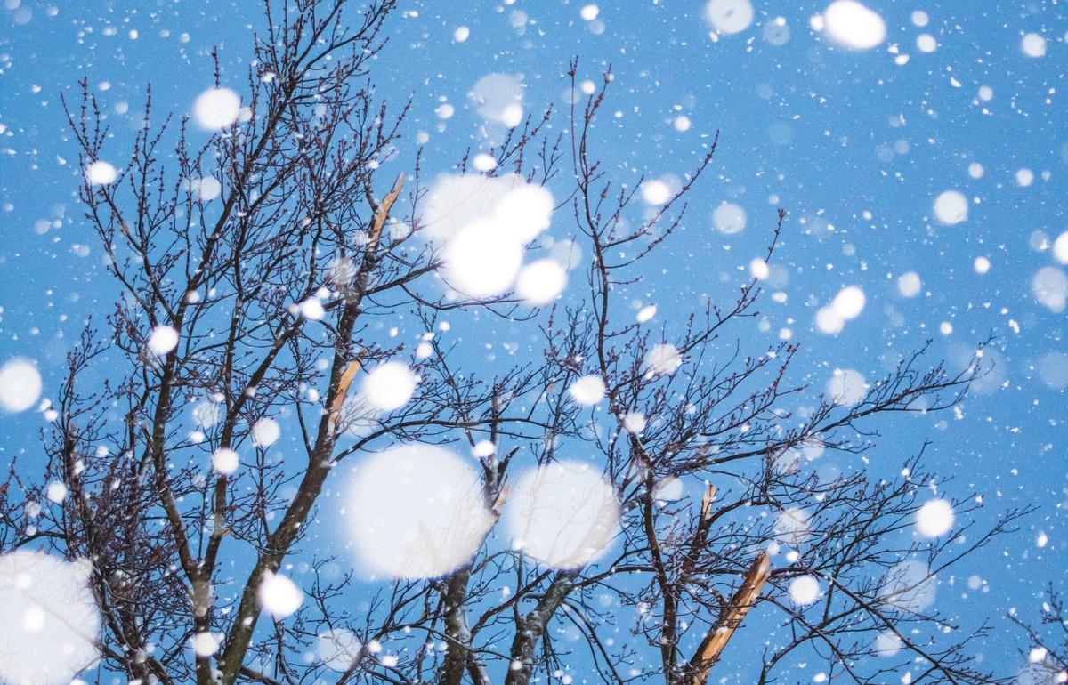 Прогноз погоды в Твери: легкий мороз в ожидании снегопадов