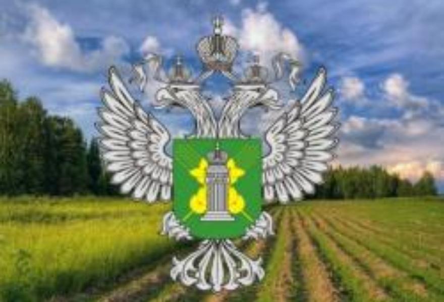 В соседнем с Тверской областью регионе вводятся в оборот земли сельхозназначения, от которых добровольно отказались собственники