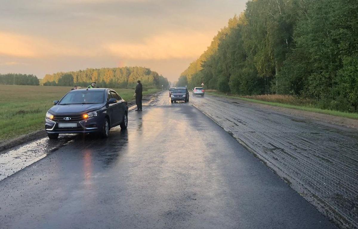 В Тверской области в столкновении двух легковушек пострадали два взрослых и ребенок - новости Афанасий