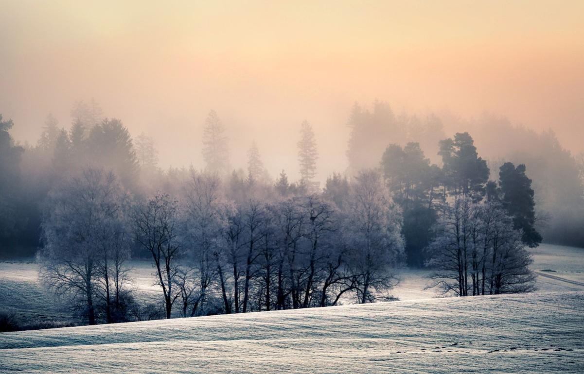 Морозы до минус 30 градусов придут в Тверскую область на следующей неделе
