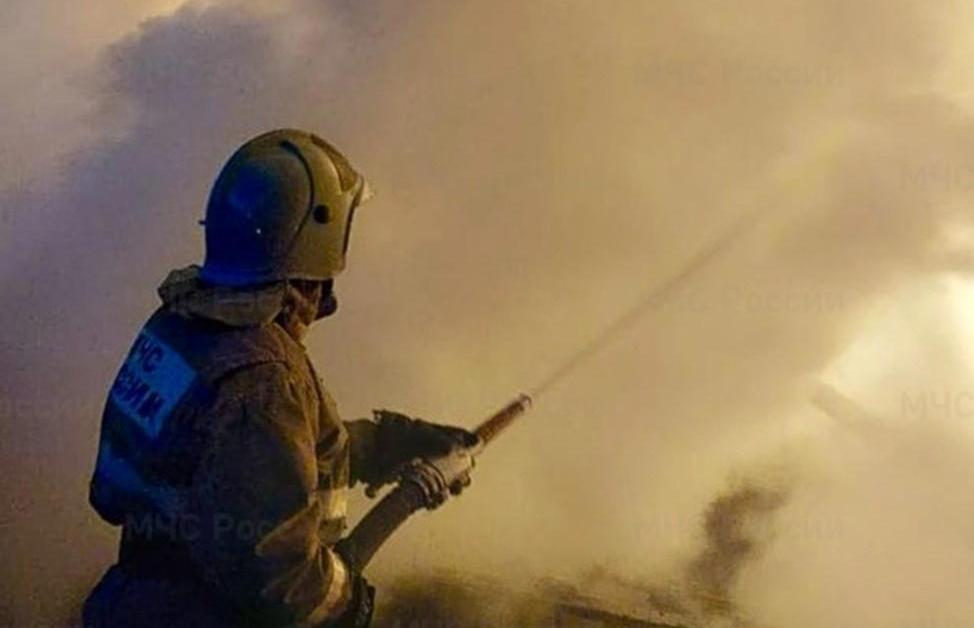 В Пено в огне пожара погибла женщина - новости Афанасий