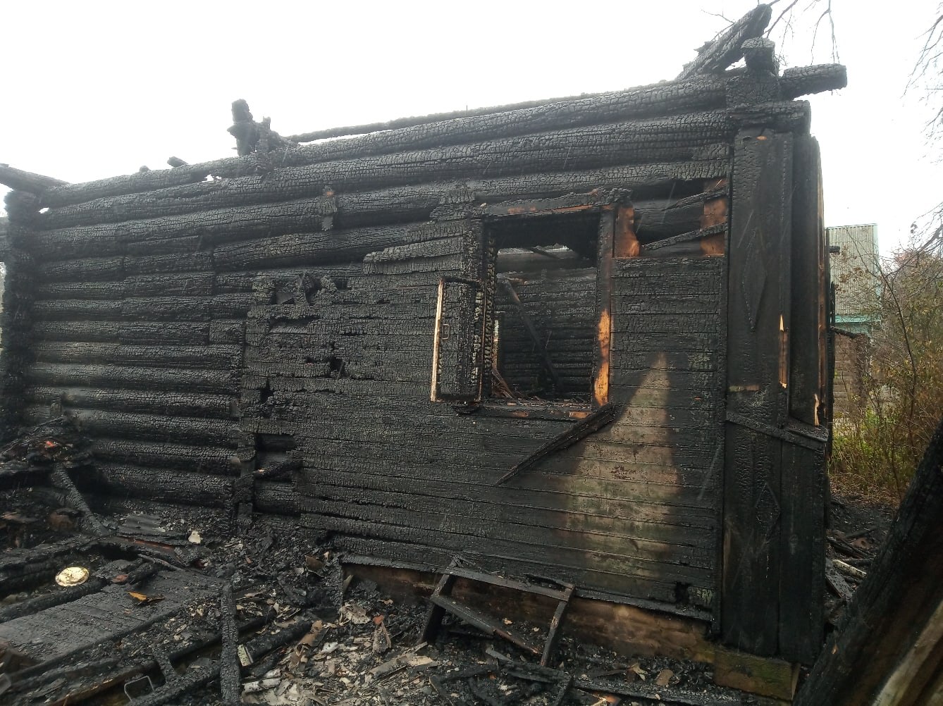 Под Тверью утром сгорел деревянный дом, его хозяин успел спастись