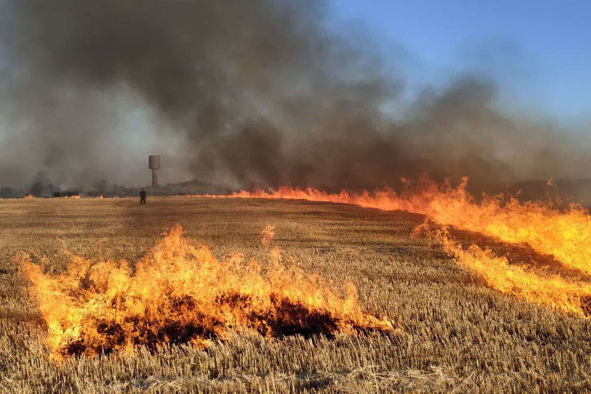 В Тверской области проходят совещания по пожарной безопасности на сельхозугодьях - новости Афанасий