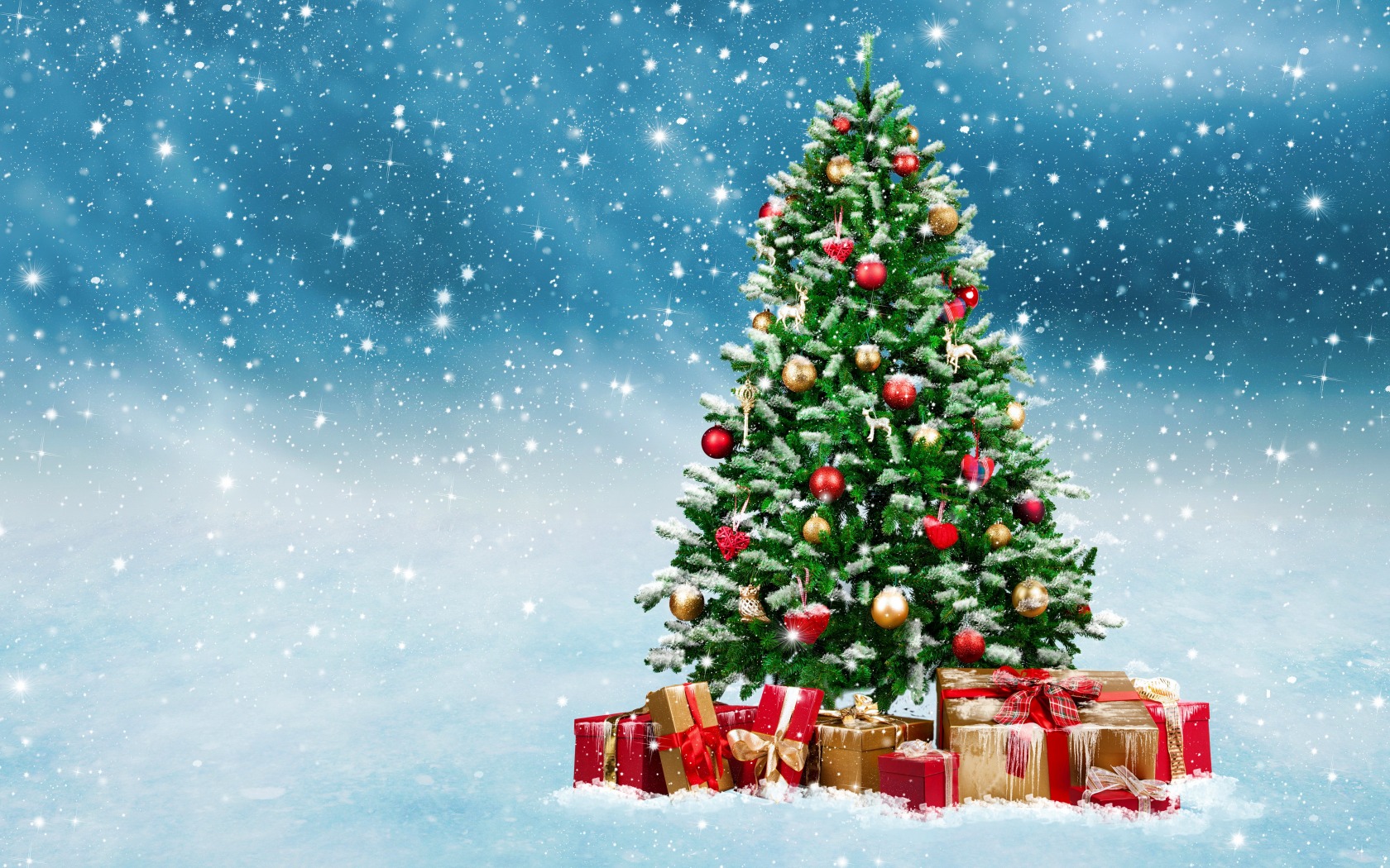 В Тверскую область начали поступать елки к новому году и Рождеству