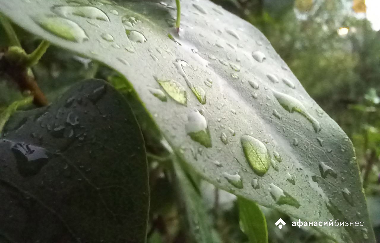 Погода в Твери сегодня: немного дождя, немного солнца и чуть-чуть теплее