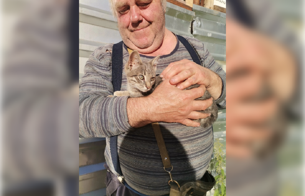 Житель Конаковского района подрабатывает охранником на стройке, чтобы прокормить бездомных животных