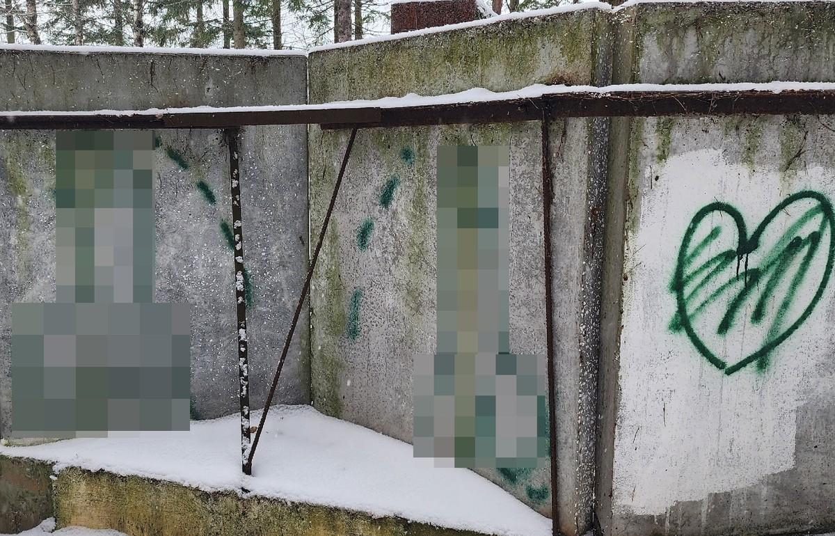 В Зубцове неизвестные изрисовали мемориальный комплекс непристойными граффити Фото: vk.com/overheardzubtsov