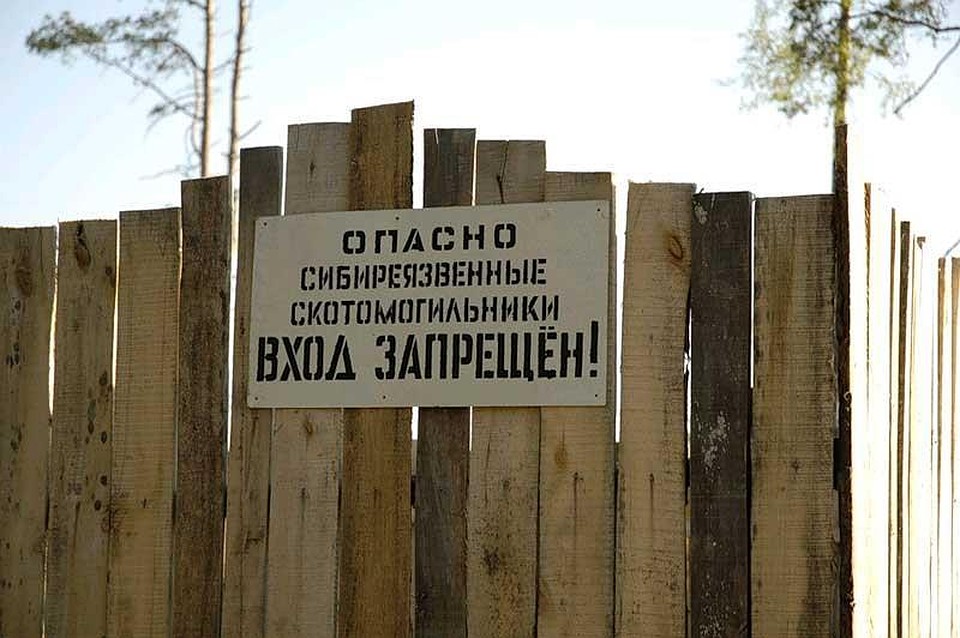 Россельхознадзор скотомогильники