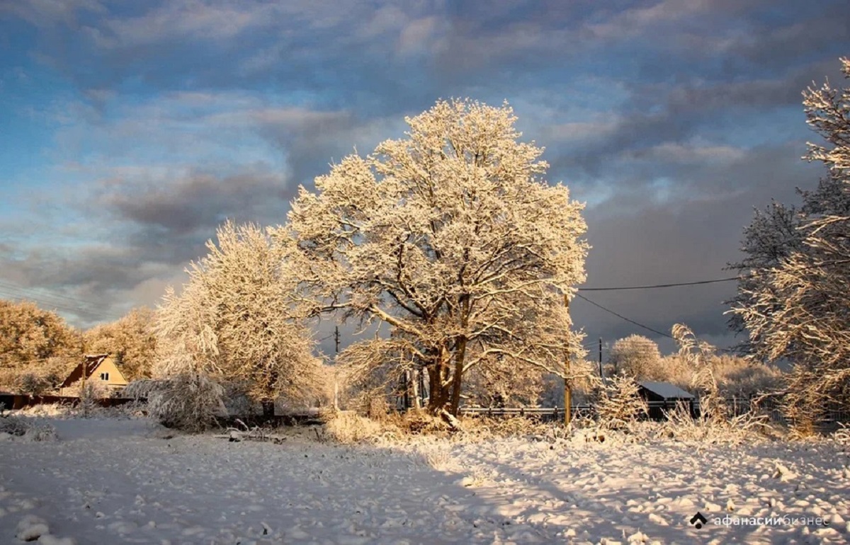 Погода в Тверской области: теплый атмосферный фронт уже совсем рядом