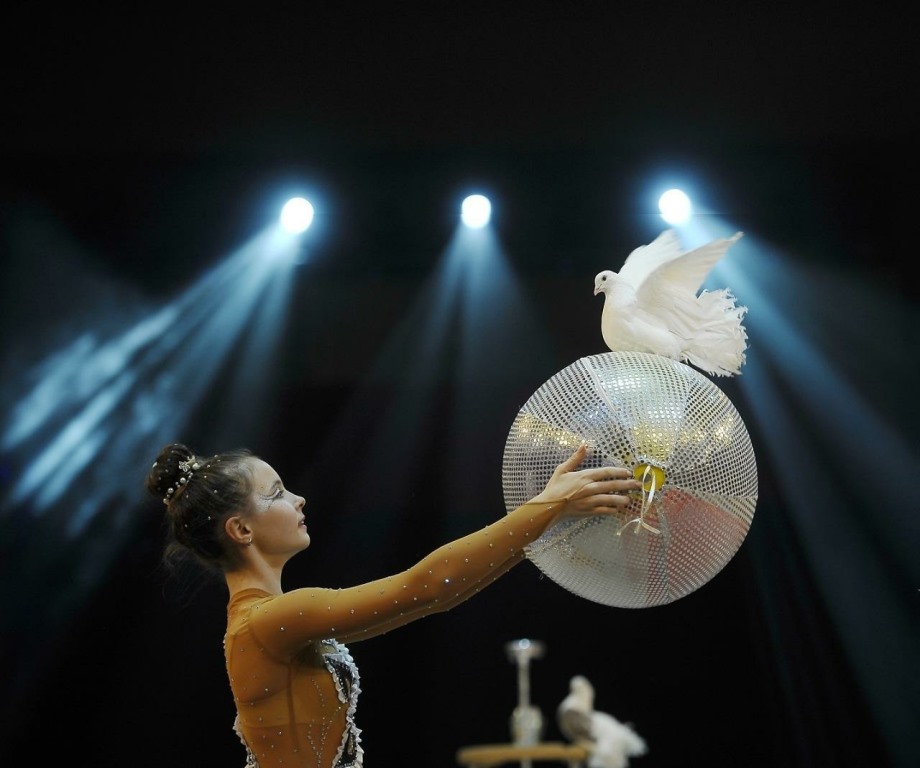 В Тверь на фестиваль детского и молодежного циркового искусства приедут участники со всего мира
