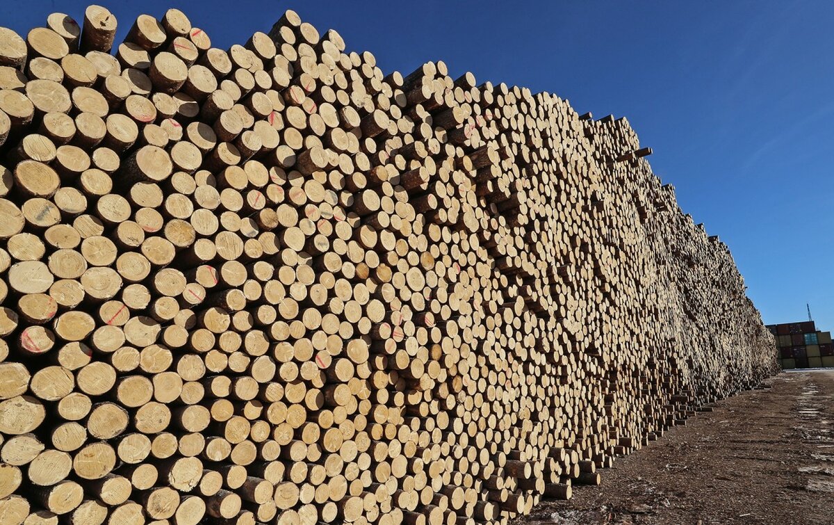 Более 700 тыс. куб. м экспортируемой лесопродукции проконтролировано Россельхознадзором  в 2021 году