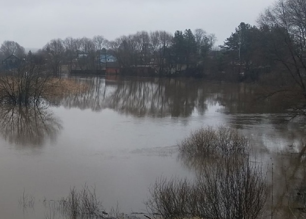 В Бельском районе Тверской области уровень воды превысил критическую отметку