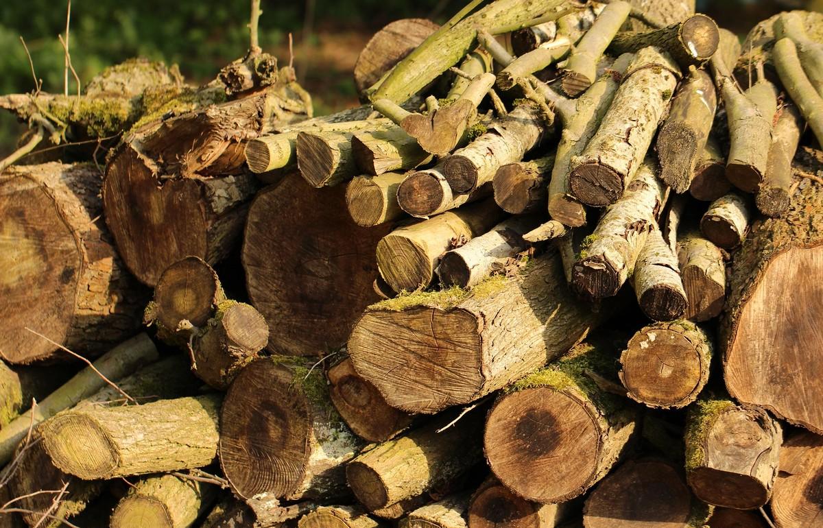 В Бельском районе Тверской области решали, что делать с отходами деревообработки