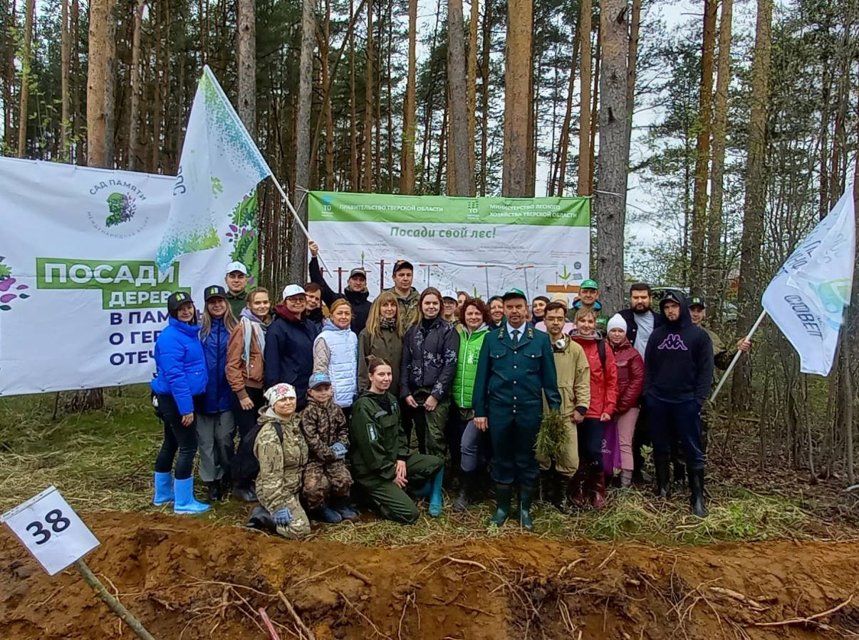 В Тверской области высадили 9,6 млн сеянцев и саженцев в рамках международной акции «Сад памяти»