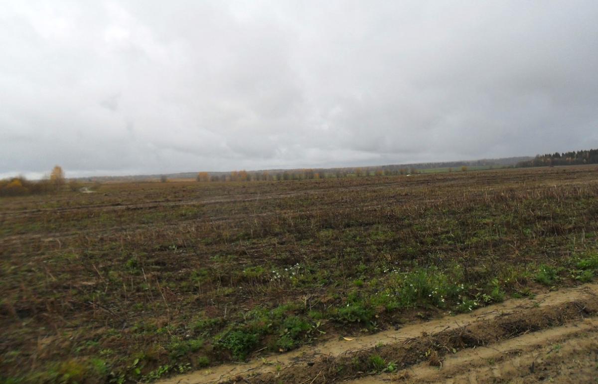 В Тверской области юрлицо после предостережения Россельхознадзора ввело в оборот неиспользуемые земли