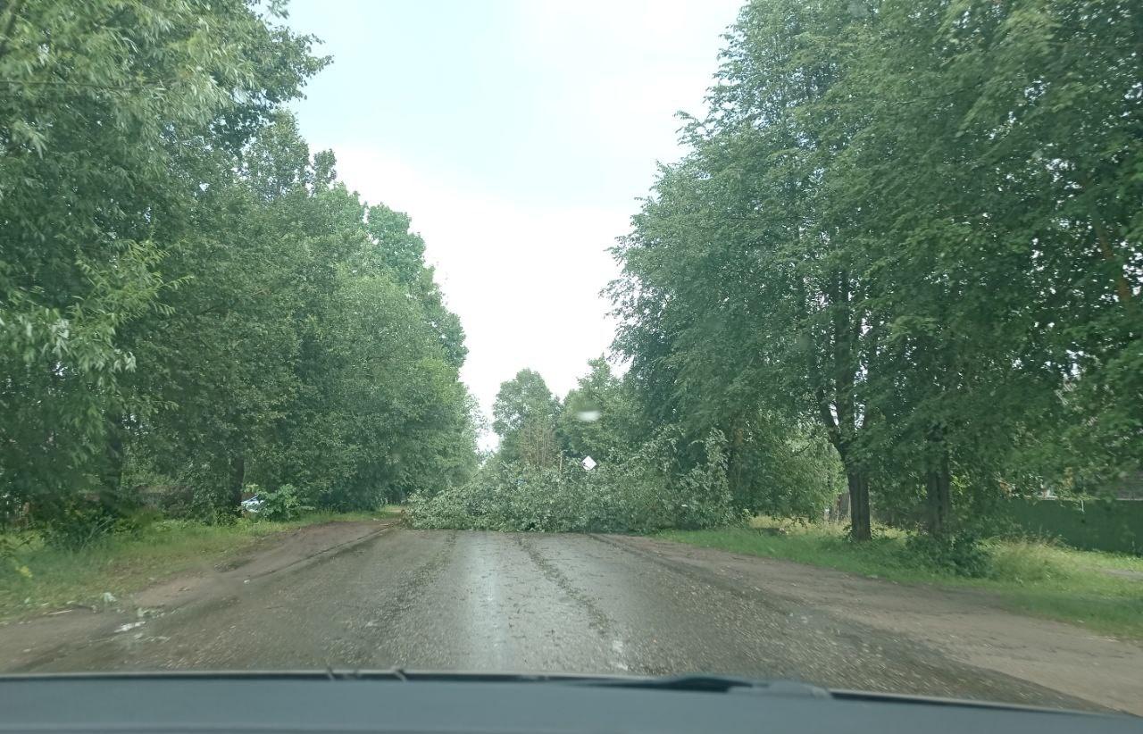 В Спирово прошла гроза с градом: оборваны ЛЭП, обломаны деревья