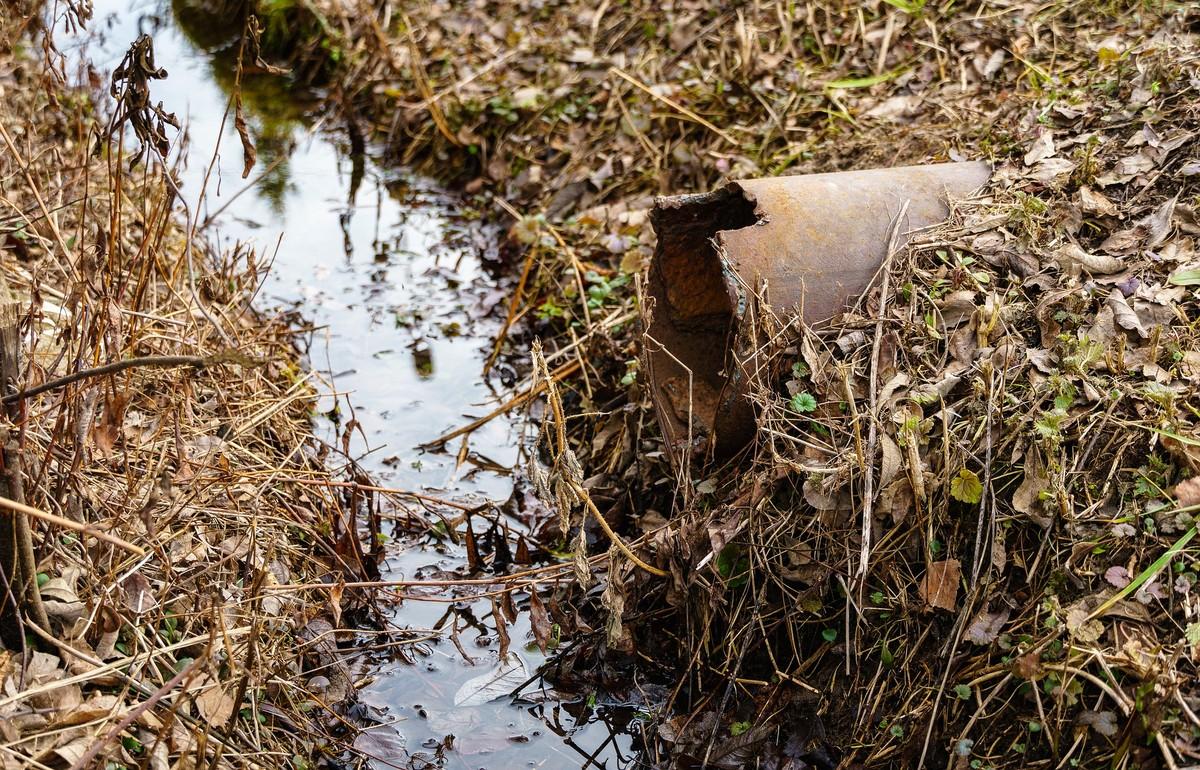 В Тверской области суд обязал администрацию округа решить проблему со сбросом неочищенных сточных вод