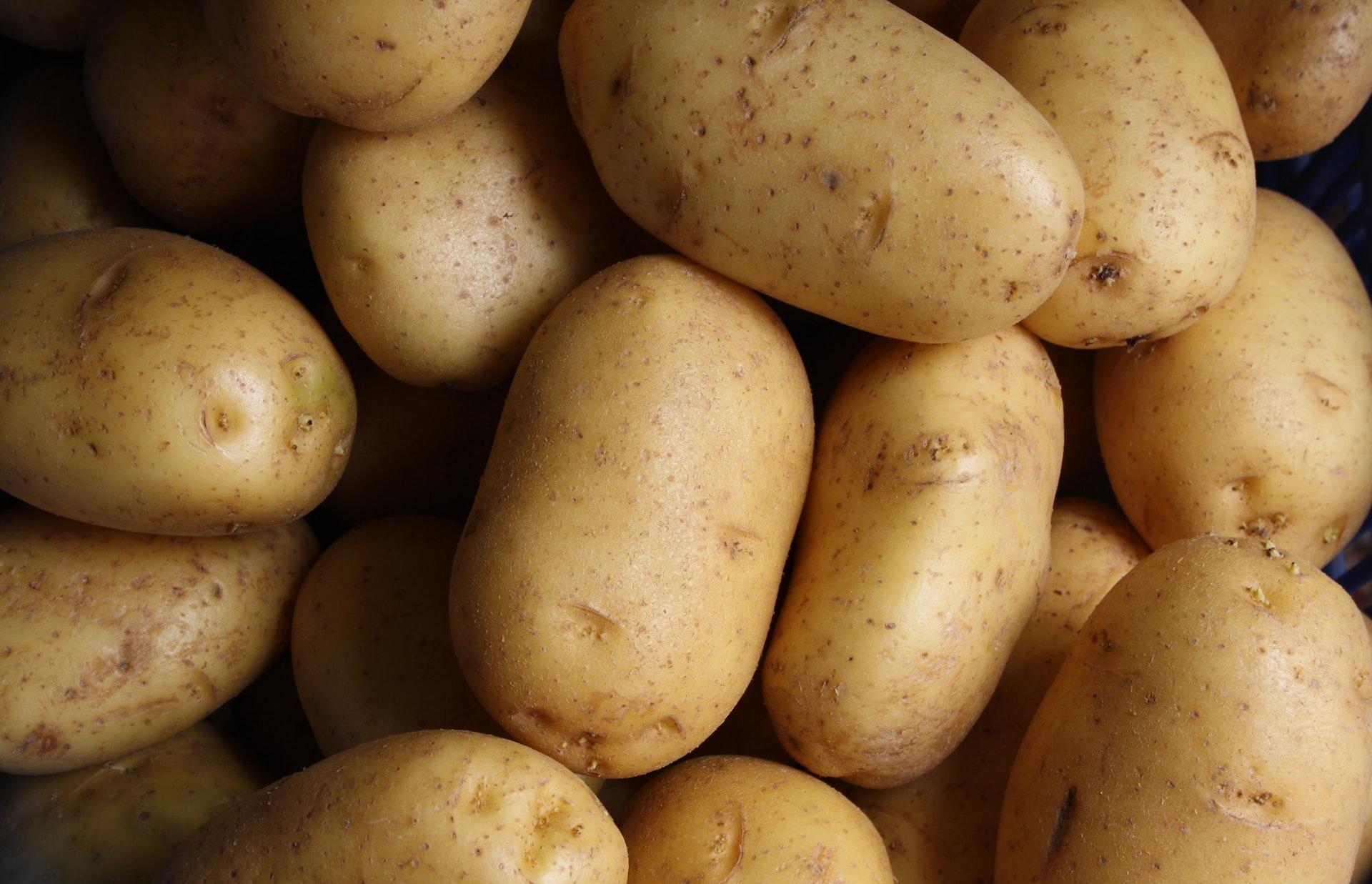 Названы стандарты семенного картофеля - новости Афанасий