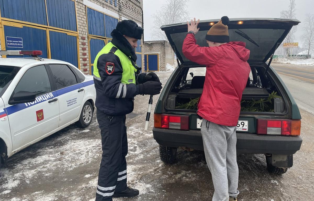 В Осташкове лесничие во время досмотра автомобилей нашли семь елей - новости Афанасий