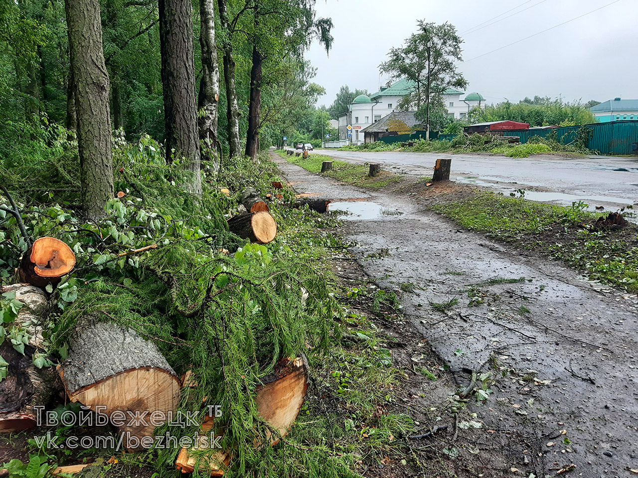 В Бежецке на Первомайском переулке вырубили деревья