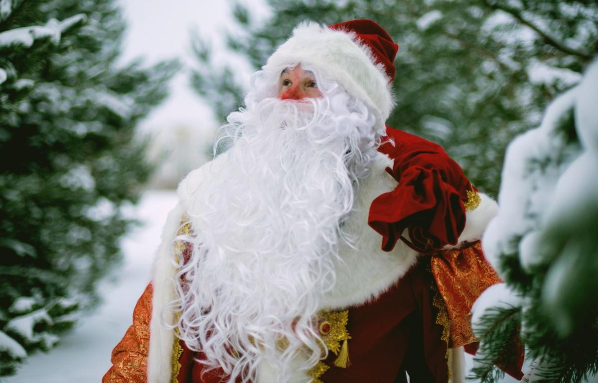 В Новый год Деды Морозы и Снегурочки смогут летать над Россией бесплатно - новости Афанасий