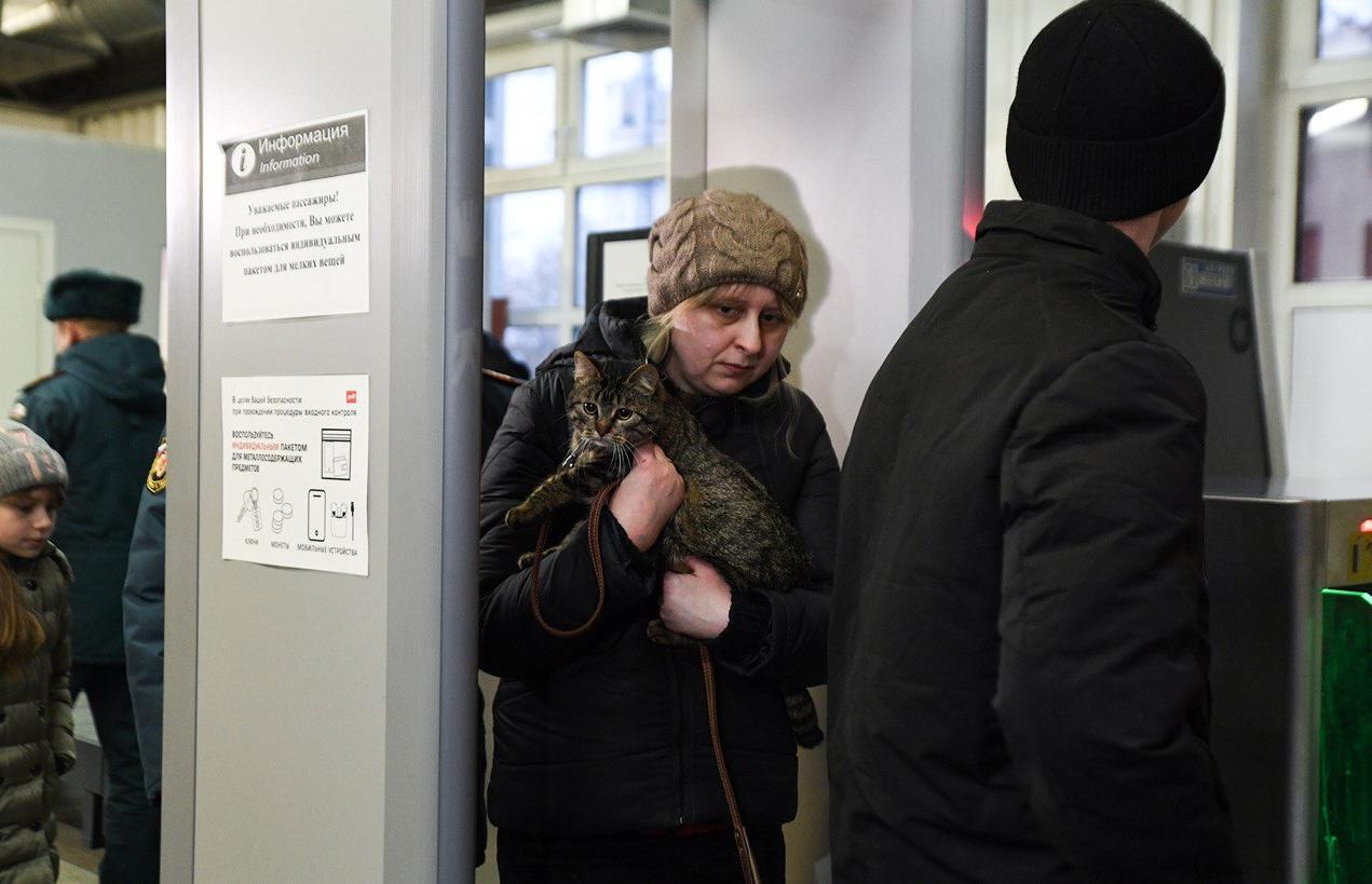Украинцы и жители ЛДНР смогут остаться на территории РФ после истечения срока временного пребывания  - новости Афанасий