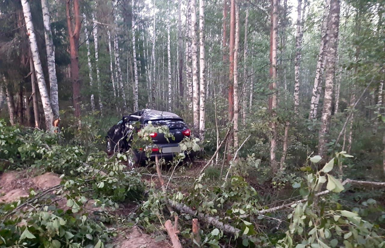 В Тверской области три человека пострадали в вылетевшем в кювет автомобиле - новости Афанасий