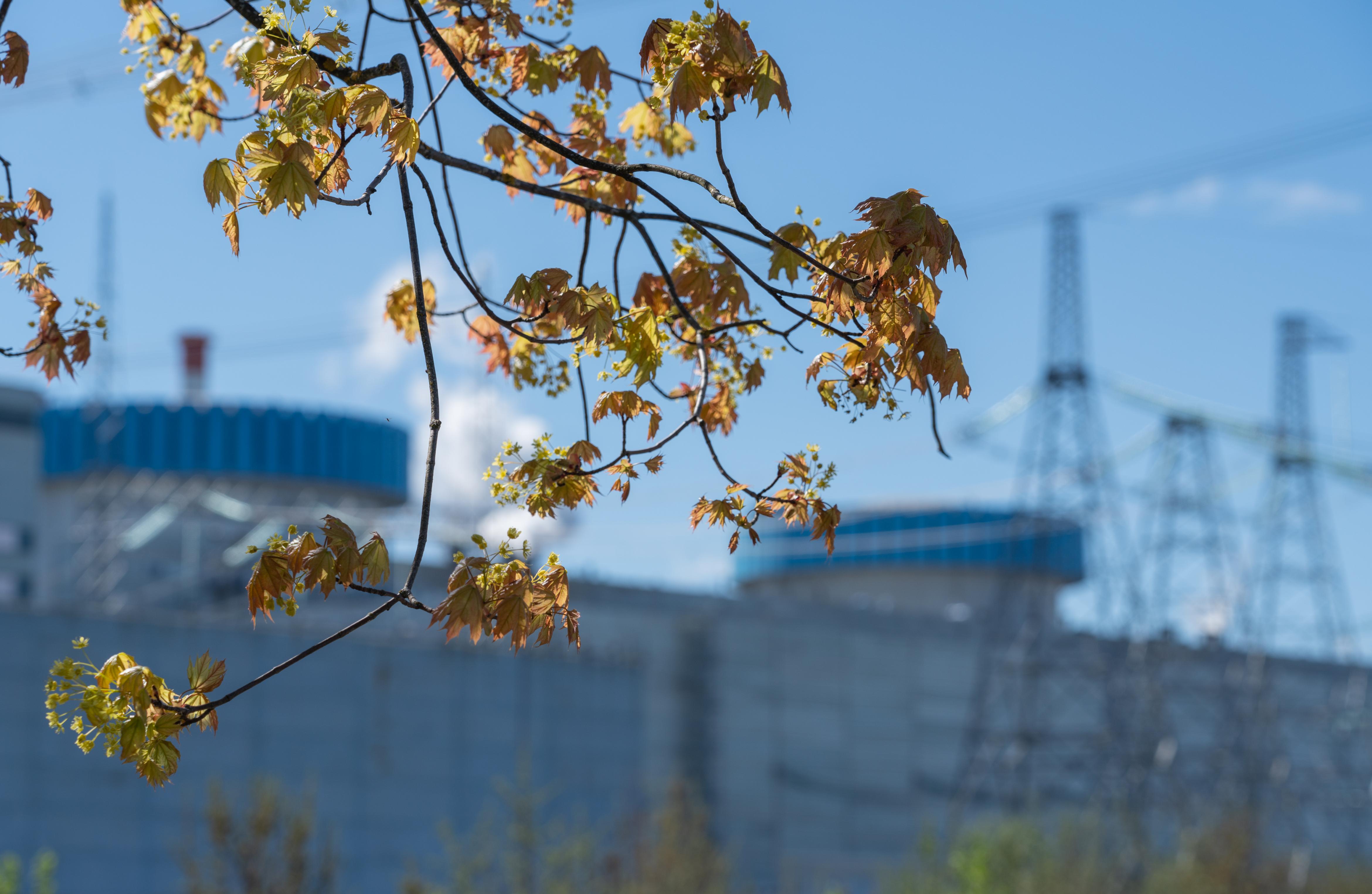 Калининская АЭС на 102,9% выполнила план по выработке электроэнергии в сентябре 2022 года - новости Афанасий