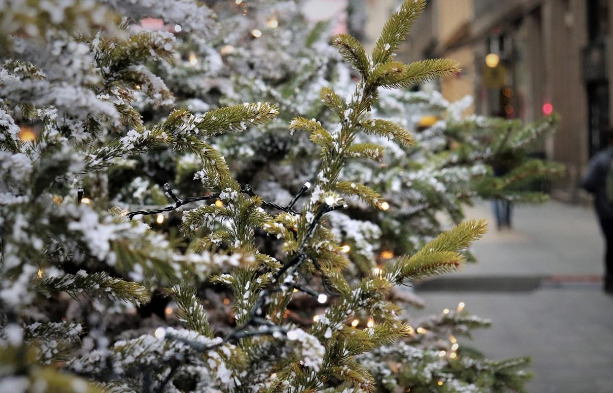 Снег и легкий мороз: погода в Новый год в Тверской области обещает быть комфортной