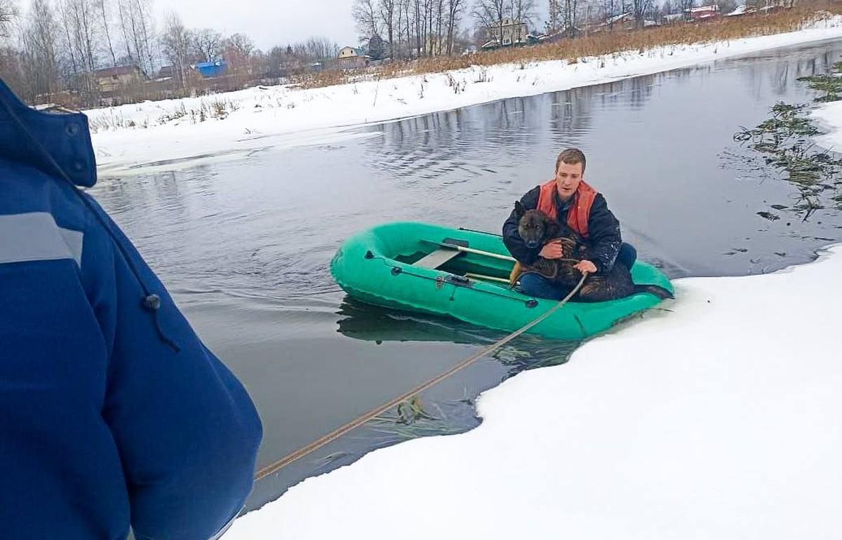 В Вышнем Волочке спасатели достали из реки провалившуюся под лед собаку - новости Афанасий