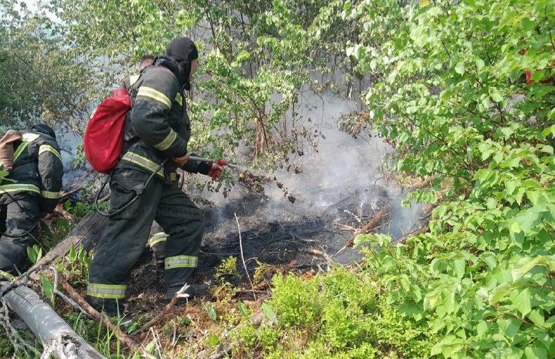 Под Осташковом в Тверской области горит лес