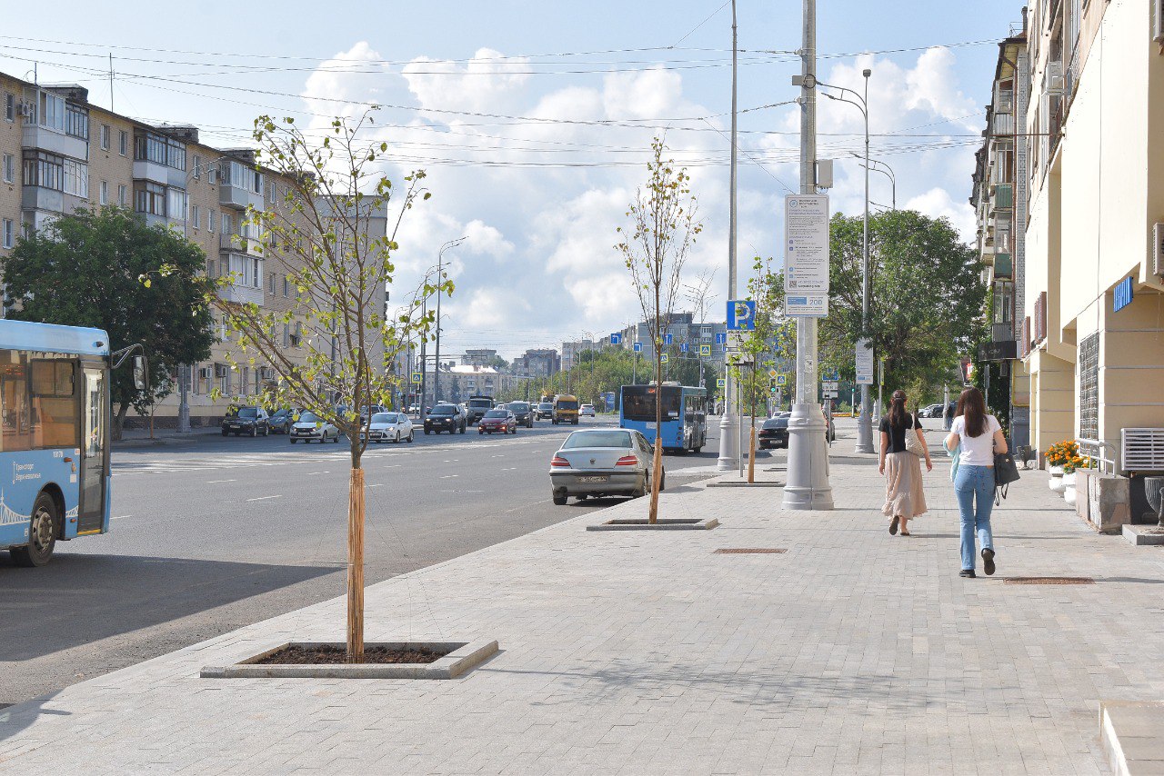 В центре Твери появились деревья 