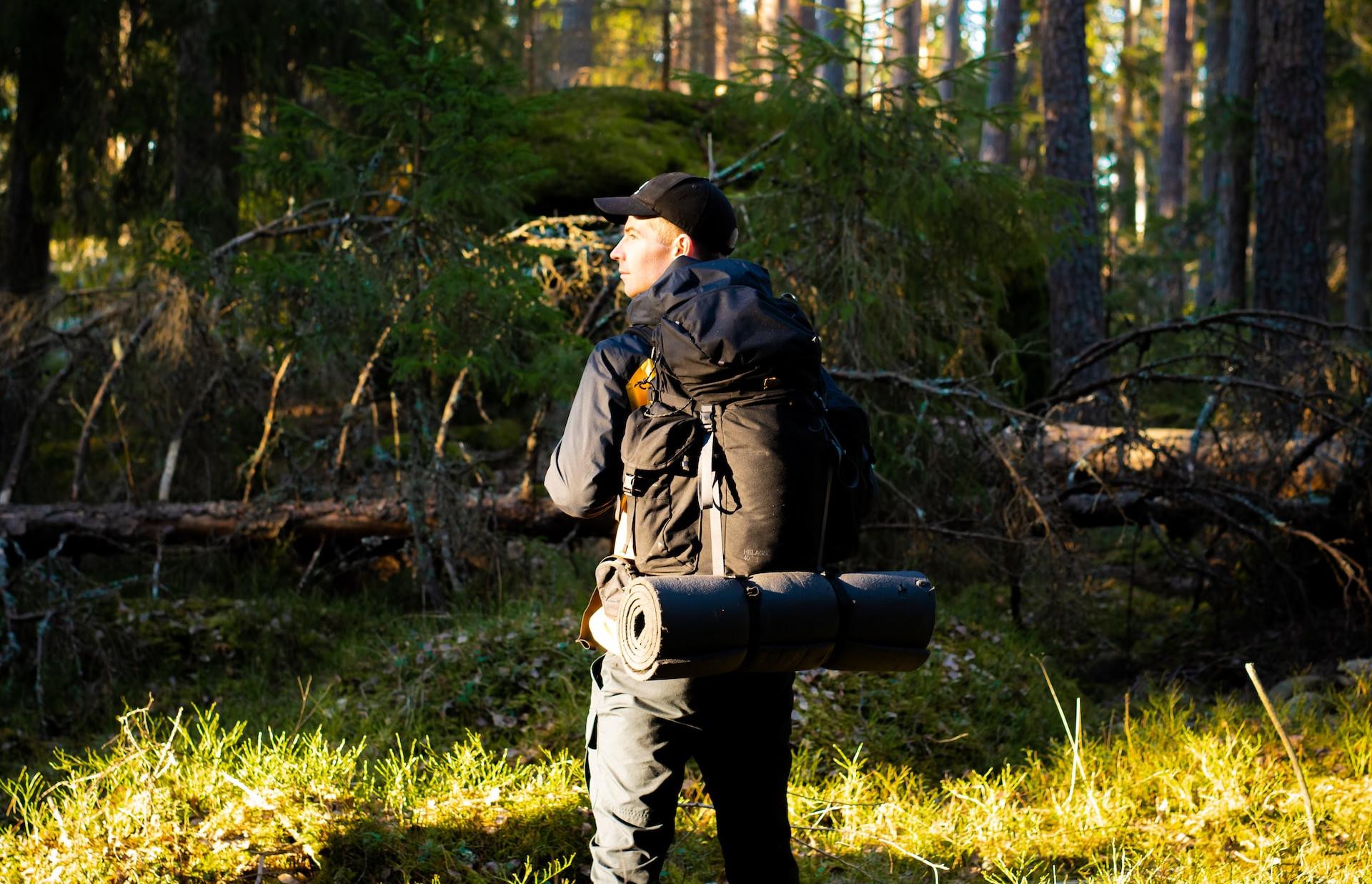 Полиция Тверской области напоминает: отправляясь в лес, позаботьтесь о личной безопасности
