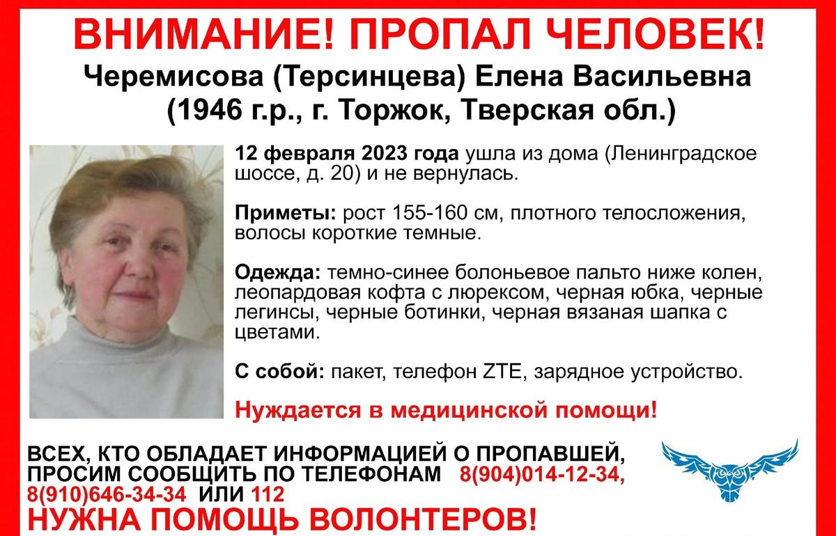 Жителей Торжка и Торжокского района просят помочь в поиске потерявшейся пожилой женщины - новости Афанасий