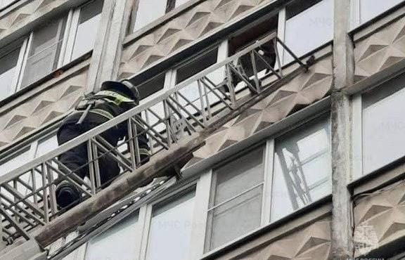 В Твери сотрудники МЧС спасли висевшего в окне балкона 7 этажа кота