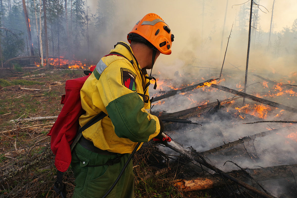 Под Западной Двиной в Тверской области сгорели 9 га леса