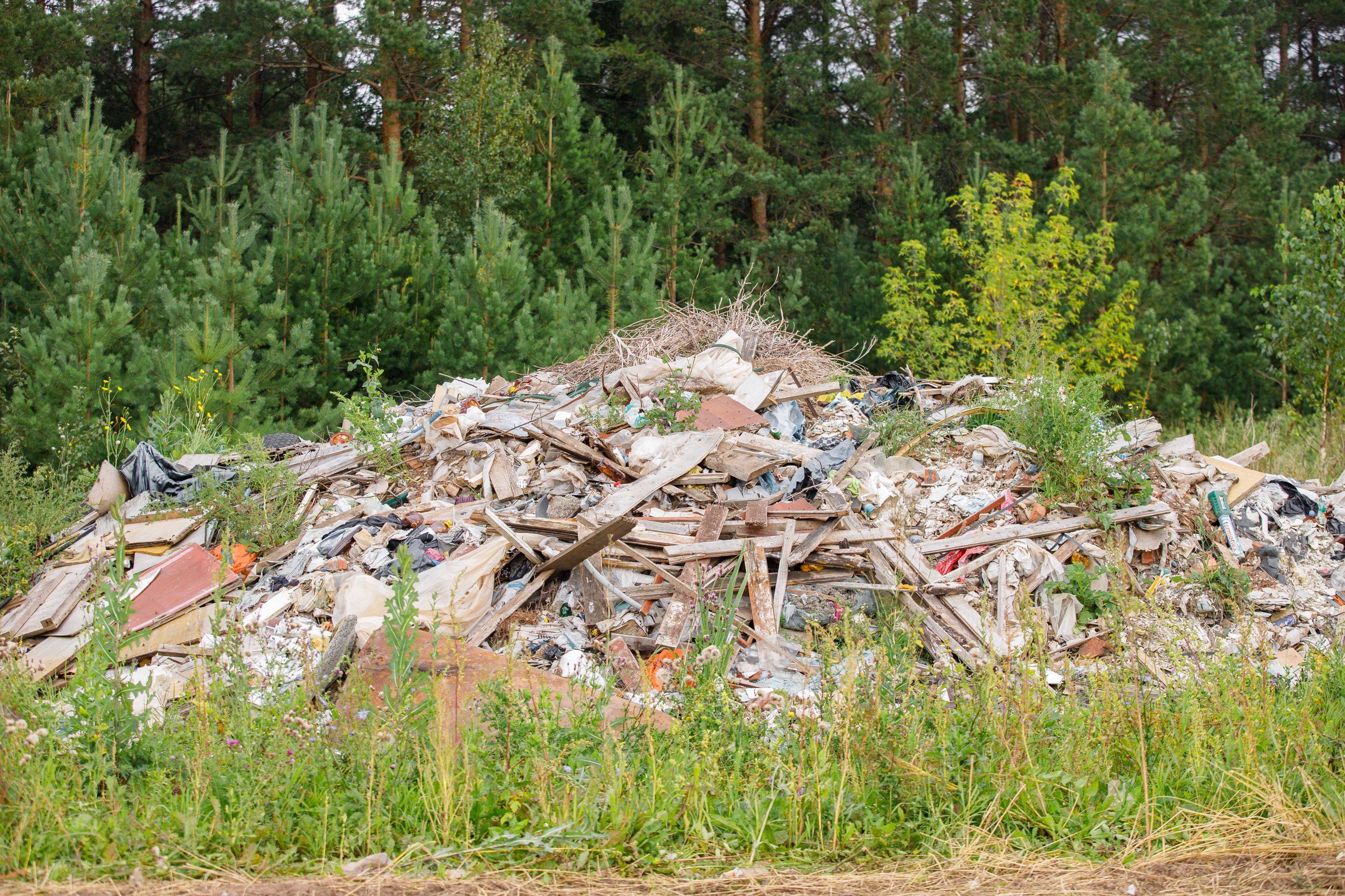  В Тверской области выявлена  свалка отходов производства и потребления - новости Афанасий