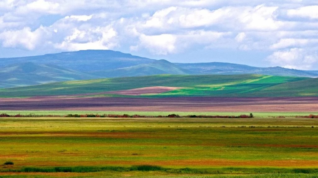 С августа любой житель России может получить гектар в Забайкалье и Бурятии