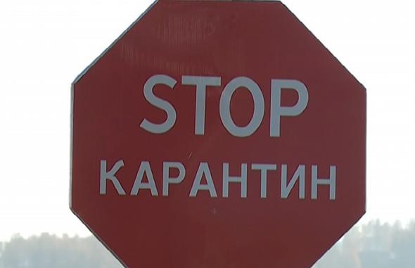 В Тверской области отменен карантинный режим на 18 гектарах земли - новости Афанасий