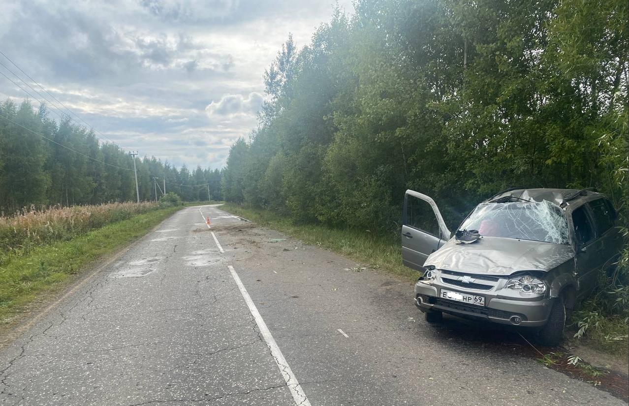 Водитель Chevrolet Niva погиб в ДТП в Тверской области - Afanasy.biz - Тверь.  Происшествия. Новости Твери. Происшествия в Твери. Погода в Твери. Тверь  новости. Тверь новости сегодня.