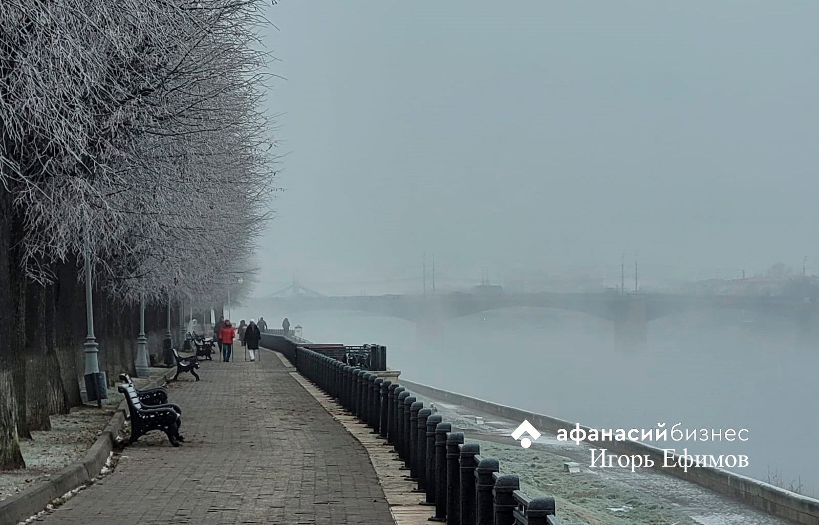 Жителей Тверской области предупреждают о тумане 