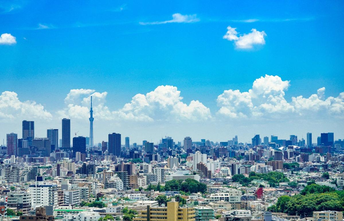 Бизнес-аналитик расскажет жителям Твери о городских ландшафтах Токио
