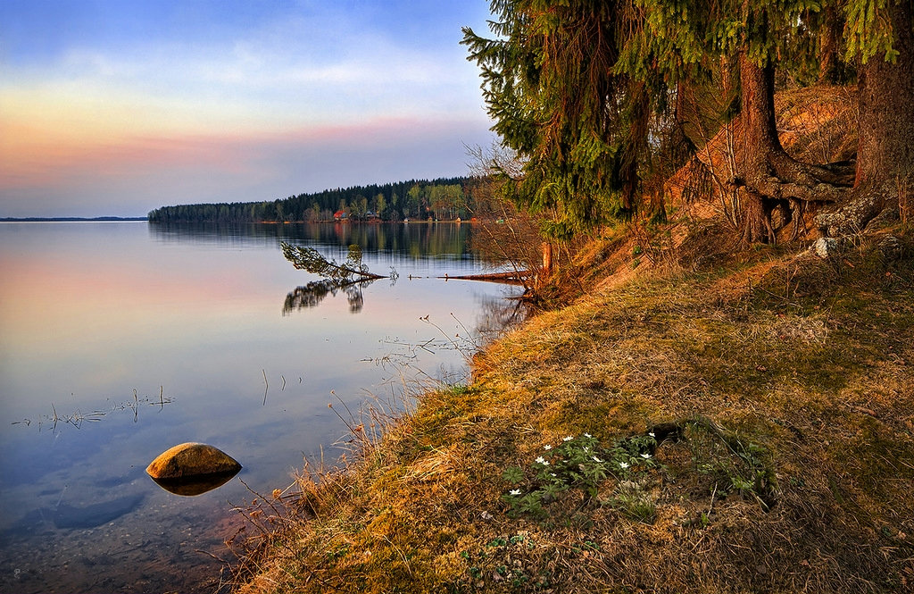 В Тверской области расчистят озеро Селигер 