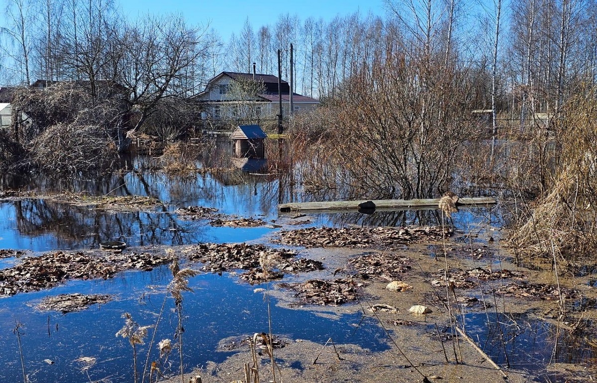 Прокуратура контролирует ситуацию с паводком в Тверской области