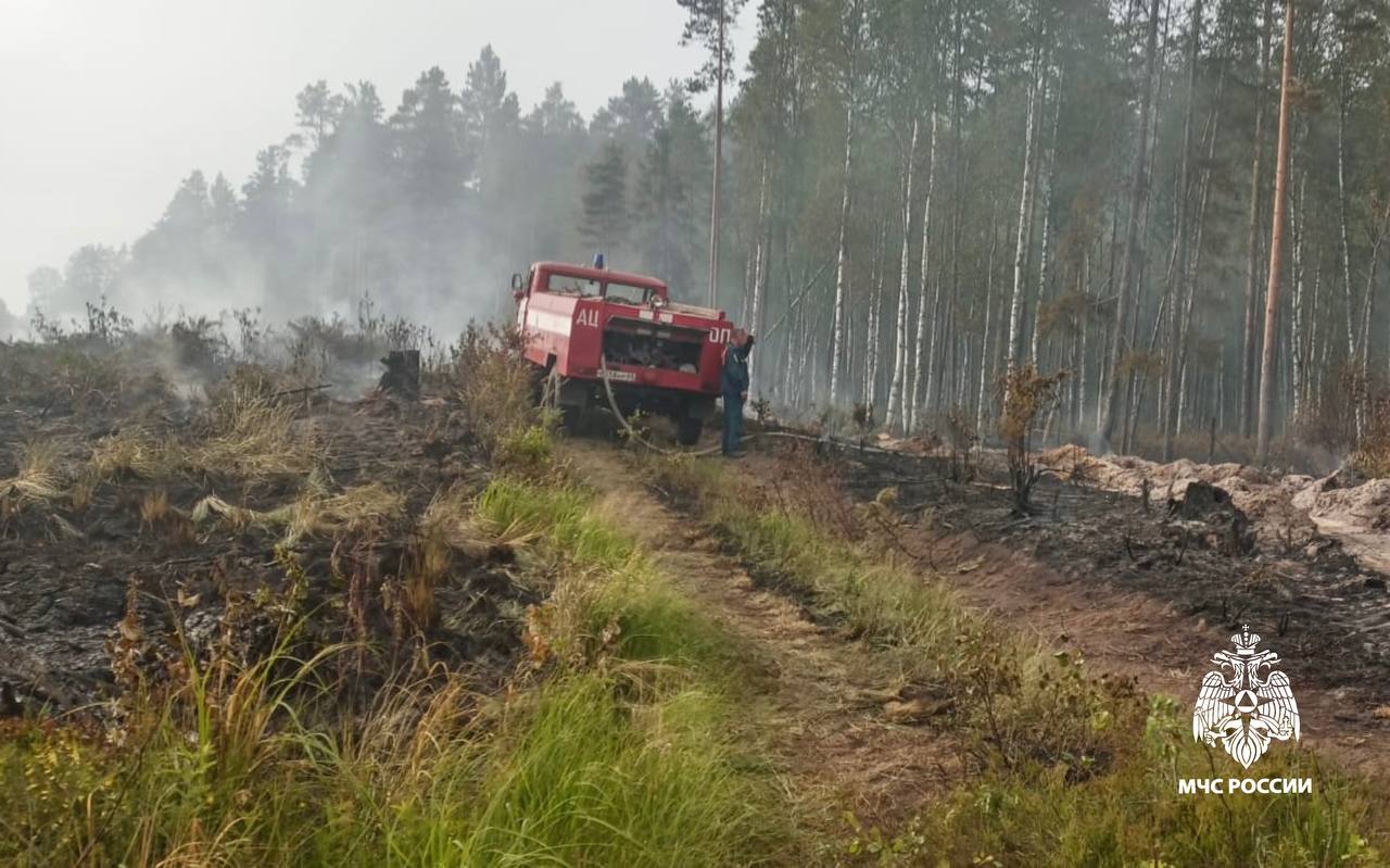 В Тверской области пожарные спасли лес и деревню от огня