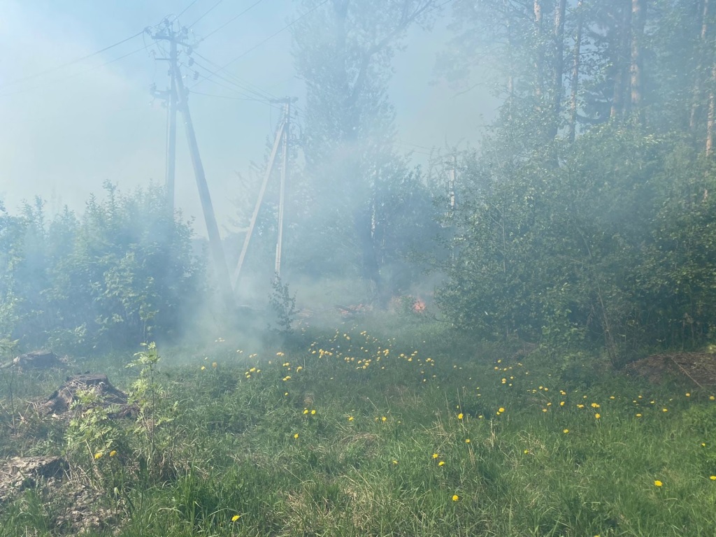 Под Тверью загорелась свалка мусора в лесу 