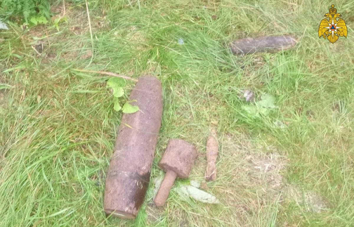 В деревне в Тверской области нашли артиллерийский снаряд, мину и ручную гранату - новости Афанасий