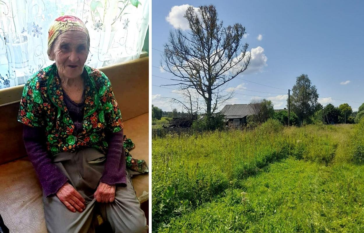 В Тверской области спустя сутки в лесу нашли 82-летнюю бабушку - новости Афанасий