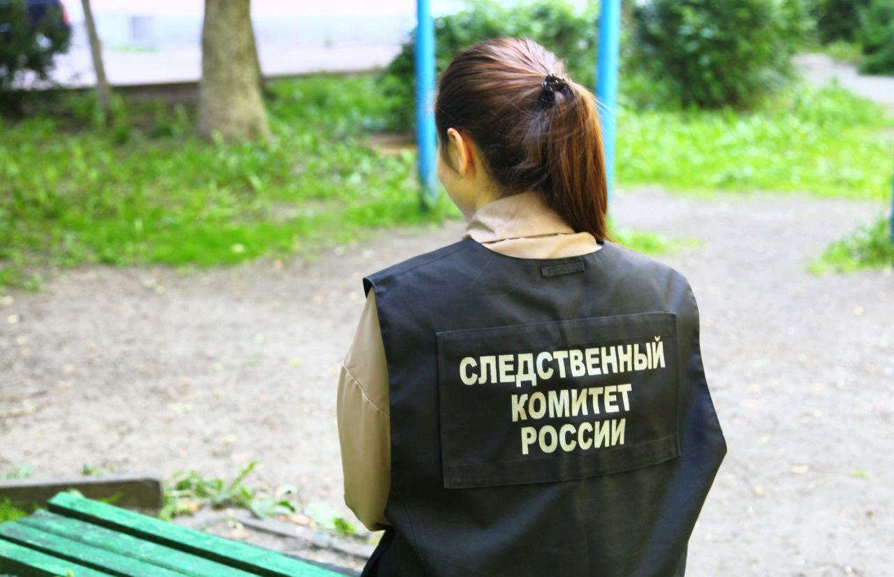 СК Тверской области возбудил уголовное дело по факту нападения на ребенка собаки