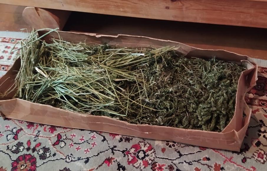 В доме жителя Бологовского района нашли более килограмма марихуаны - новости Афанасий